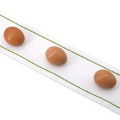 EconoGlide Egg Belt with green line