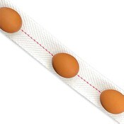 feather glide poultry egg belt with red stripe