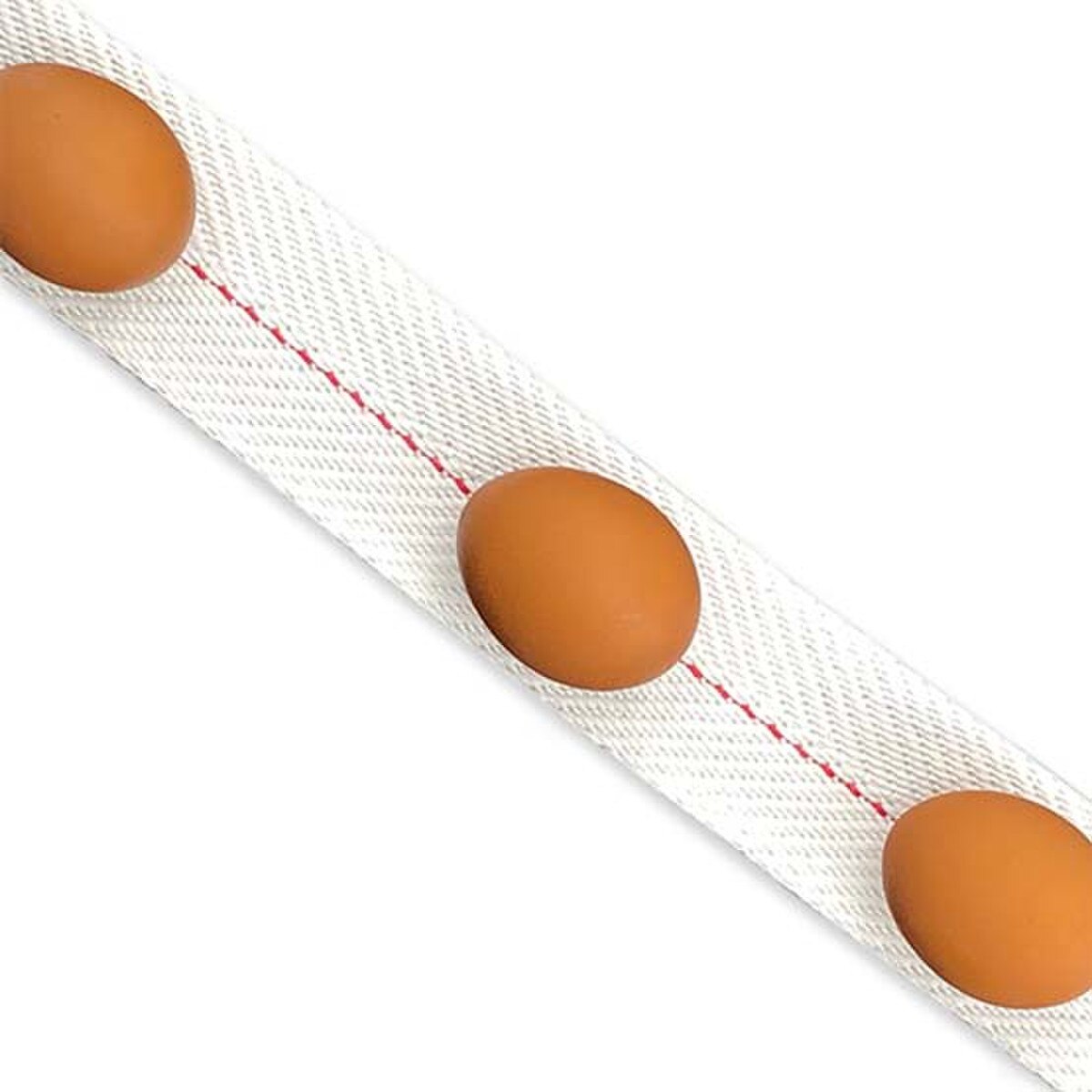 feather glide poultry egg belt with red stripe