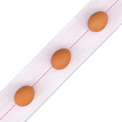 feather glide poultry egg belt with red stripe