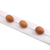 EconoGlide Egg Belt with green line