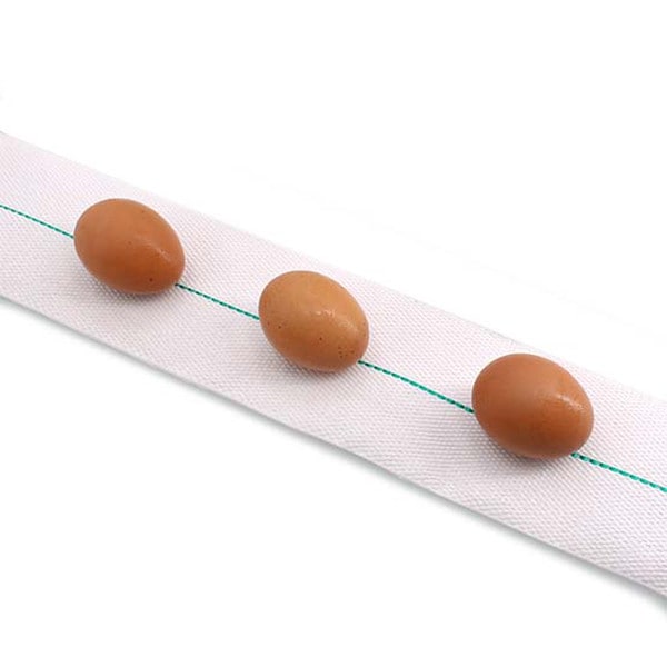 EconoGlide Egg Belt with green line