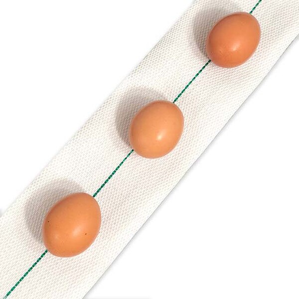 EconoGlide Egg Belt with green line